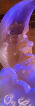 Custom Ice Sculptures